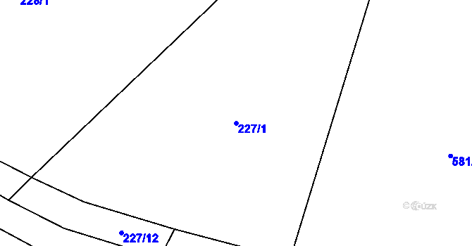 Parcela st. 227/1 v KÚ Řepov, Katastrální mapa