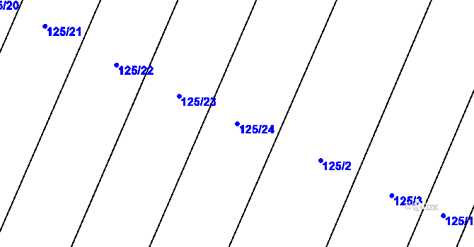 Parcela st. 125/24 v KÚ Řestoky, Katastrální mapa
