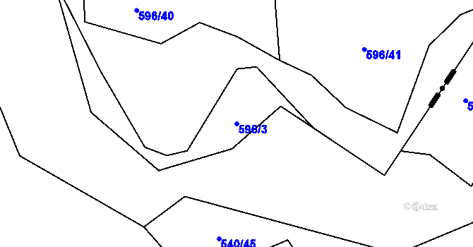 Parcela st. 596/3 v KÚ Řeznovice, Katastrální mapa
