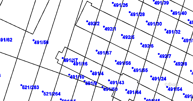 Parcela st. 491/57 v KÚ Řeznovice, Katastrální mapa
