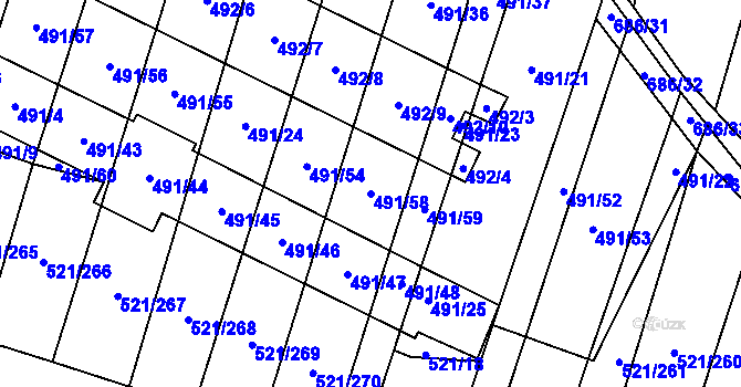 Parcela st. 491/58 v KÚ Řeznovice, Katastrální mapa