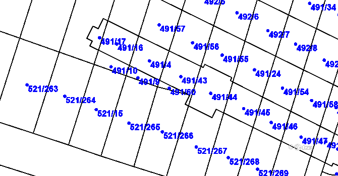Parcela st. 491/60 v KÚ Řeznovice, Katastrální mapa