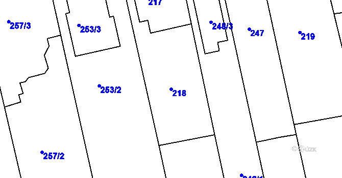 Parcela st. 218 v KÚ Řícmanice, Katastrální mapa