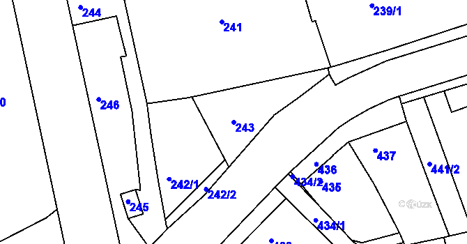 Parcela st. 243 v KÚ Řícmanice, Katastrální mapa