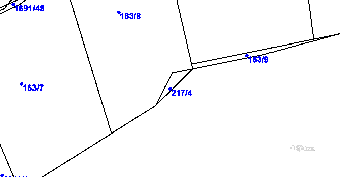 Parcela st. 217/4 v KÚ Říčany u Prahy, Katastrální mapa