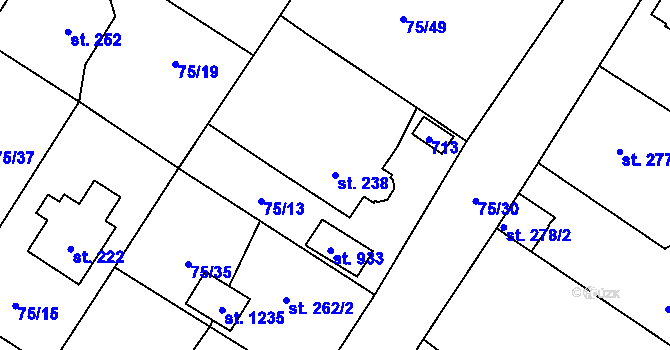 Parcela st. 238 v KÚ Říčany-Radošovice, Katastrální mapa