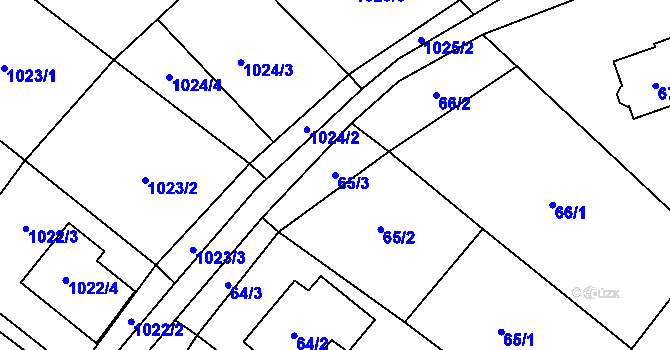 Parcela st. 65/3 v KÚ Říčany u Brna, Katastrální mapa