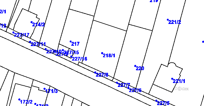 Parcela st. 218/1 v KÚ Říčany u Brna, Katastrální mapa