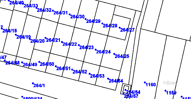 Parcela st. 264/24 v KÚ Říčany u Brna, Katastrální mapa