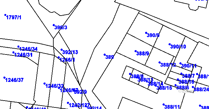 Parcela st. 389 v KÚ Říčany u Brna, Katastrální mapa