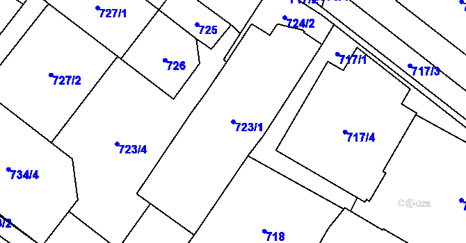 Parcela st. 723/1 v KÚ Říčany u Brna, Katastrální mapa
