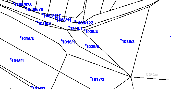Parcela st. 1039/5 v KÚ Říčany u Brna, Katastrální mapa