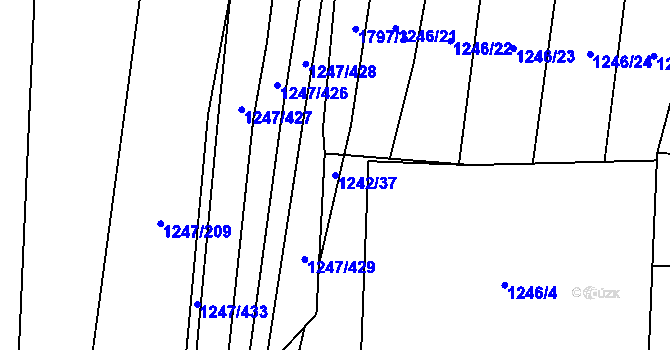 Parcela st. 1242/37 v KÚ Říčany u Brna, Katastrální mapa