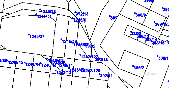 Parcela st. 392/9 v KÚ Říčany u Brna, Katastrální mapa
