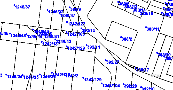 Parcela st. 392/11 v KÚ Říčany u Brna, Katastrální mapa