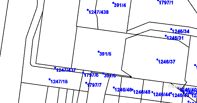 Parcela st. 391/5 v KÚ Říčany u Brna, Katastrální mapa