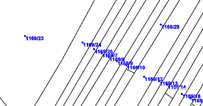 Parcela st. 1169/7 v KÚ Říčany u Brna, Katastrální mapa