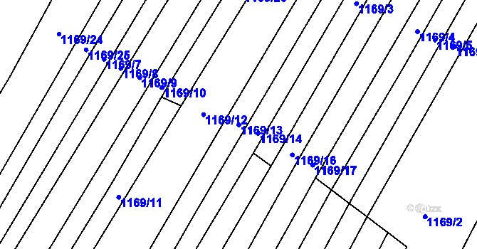 Parcela st. 1169/13 v KÚ Říčany u Brna, Katastrální mapa