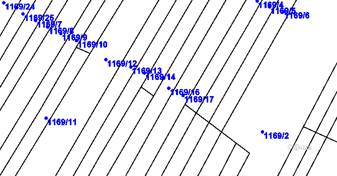 Parcela st. 1169/16 v KÚ Říčany u Brna, Katastrální mapa