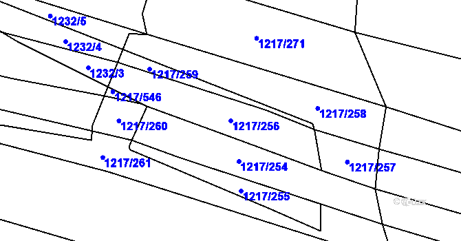 Parcela st. 1217/256 v KÚ Říčany u Brna, Katastrální mapa