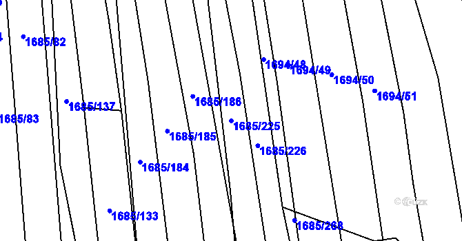 Parcela st. 1685/225 v KÚ Říčany u Brna, Katastrální mapa