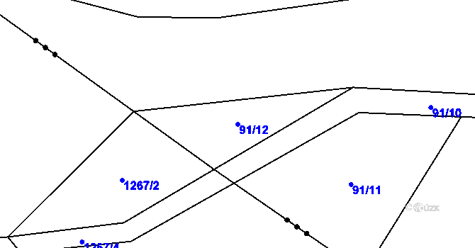 Parcela st. 91/12 v KÚ Řikonín, Katastrální mapa