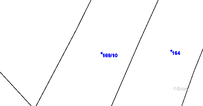 Parcela st. 169/10 v KÚ Řikonín, Katastrální mapa