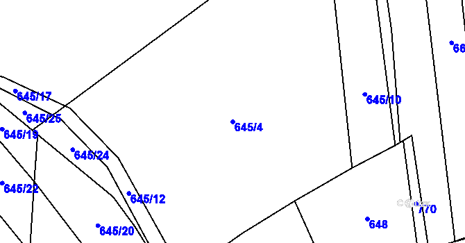 Parcela st. 645/4 v KÚ Řimice, Katastrální mapa