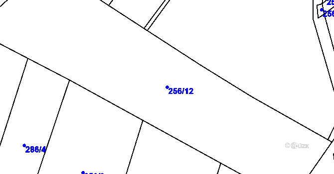 Parcela st. 256/12 v KÚ Řimice, Katastrální mapa