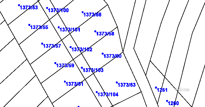 Parcela st. 1373/60 v KÚ Řimovice, Katastrální mapa