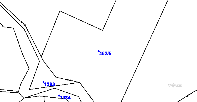 Parcela st. 462/5 v KÚ Podlesí u Sadova, Katastrální mapa