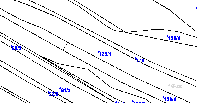 Parcela st. 129/1 v KÚ Salavice, Katastrální mapa