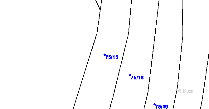 Parcela st. 75/13 v KÚ Dojetřice, Katastrální mapa