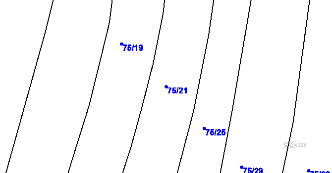 Parcela st. 75/21 v KÚ Dojetřice, Katastrální mapa