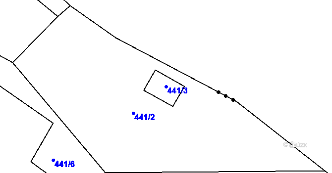 Parcela st. 441/3 v KÚ Dojetřice, Katastrální mapa