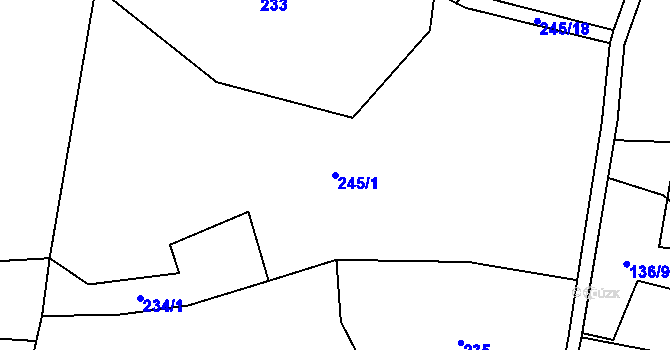 Parcela st. 245/1 v KÚ Proseč u Seče, Katastrální mapa