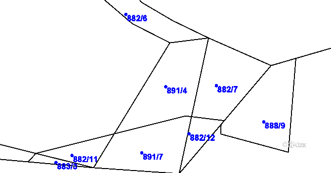 Parcela st. 891/4 v KÚ Čankov, Katastrální mapa