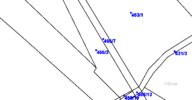 Parcela st. 466/3 v KÚ Sedlec u Kralovic, Katastrální mapa