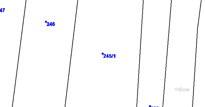 Parcela st. 245/1 v KÚ Prčice, Katastrální mapa
