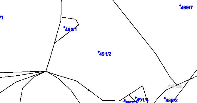 Parcela st. 491/2 v KÚ Sedlec u Votic, Katastrální mapa