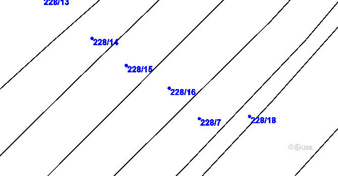 Parcela st. 228/16 v KÚ Sedlejov, Katastrální mapa