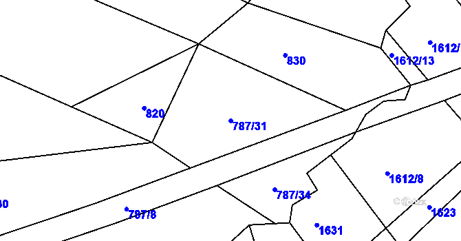 Parcela st. 787/31 v KÚ Sedlejov, Katastrální mapa