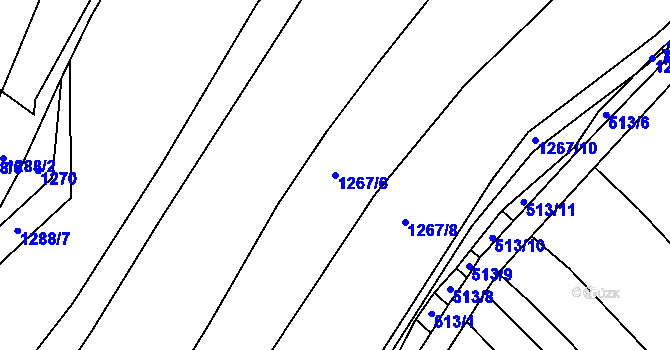 Parcela st. 1267/6 v KÚ Sedlejov, Katastrální mapa