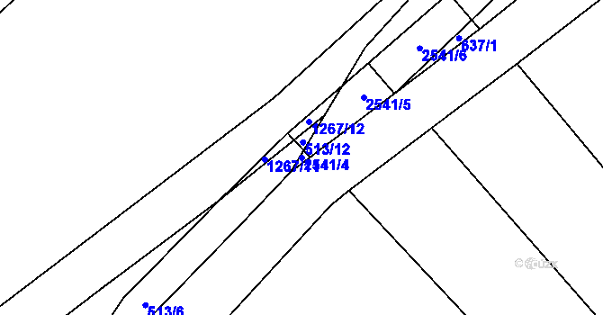 Parcela st. 2541/4 v KÚ Sedlejov, Katastrální mapa
