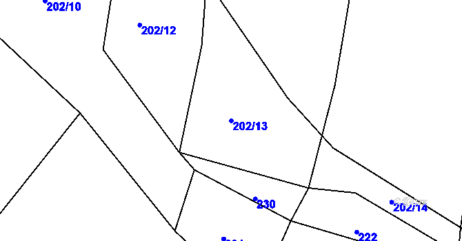 Parcela st. 202/13 v KÚ Sedlice u Želivi, Katastrální mapa