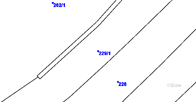 Parcela st. 229/1 v KÚ Sedliště u Litomyšle, Katastrální mapa