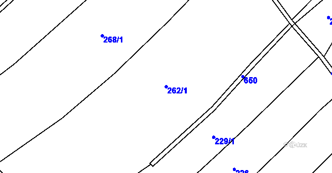 Parcela st. 262/1 v KÚ Sedliště u Litomyšle, Katastrální mapa