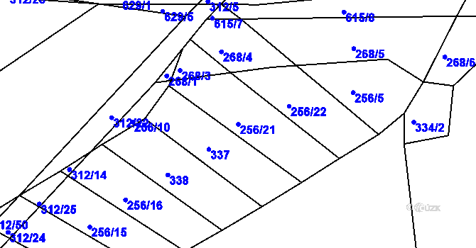 Parcela st. 256/21 v KÚ Sedlo u Horažďovic, Katastrální mapa