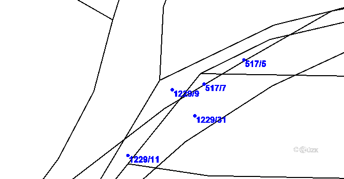 Parcela st. 1229/9 v KÚ Sedmpány, Katastrální mapa