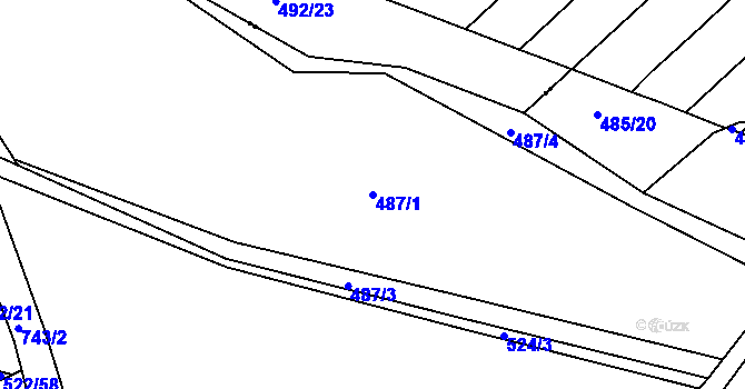 Parcela st. 487/1 v KÚ Nový Dvůr u Písku, Katastrální mapa